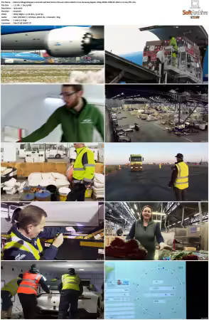 Mega Shippers Land Air and Sea S01 S03 1080p ROKU WEB-DL AAC2.0 H264-FFG