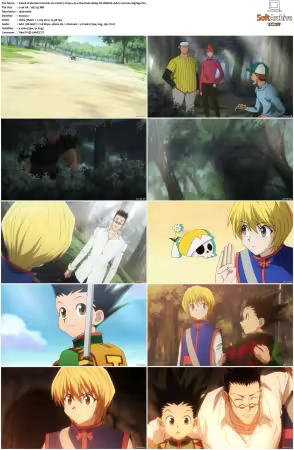 Hunter x Hunter 2011 S01-S06 1080p NF WEB-DL AAC2.0 H264-ZigZag