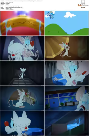 Animaniacs 2020 S01-S03 1080p HULU WEBRip DDP5.1 x265-EDGE2020