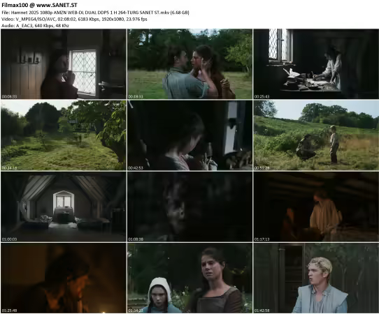 Hamnet 2025 1080p AMZN WEB-DL DUAL DDP5.1 H 264-TURG