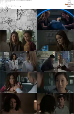 The Good Doctor S01-S07 720p WEBRip 2CH x265 HEVC-PSA
