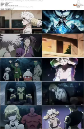 Hunter x Hunter 2011 S01-S06 1080p NF WEB-DL AAC2.0 H264-ZigZag