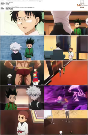 Hunter x Hunter 2011 S01-S06 1080p NF WEB-DL AAC2.0 H264-ZigZag