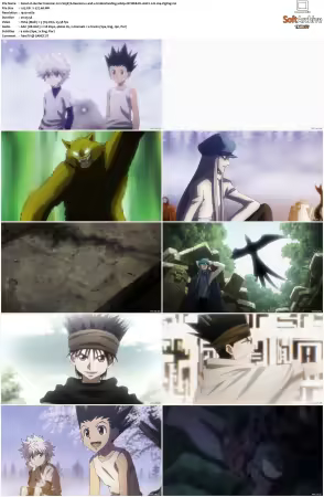 Hunter x Hunter 2011 S01-S06 1080p NF WEB-DL AAC2.0 H264-ZigZag