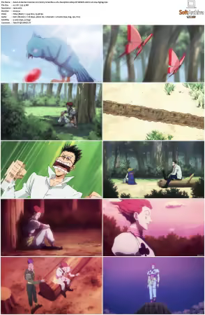 Hunter x Hunter 2011 S01-S06 1080p NF WEB-DL AAC2.0 H264-ZigZag