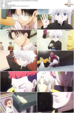 Hunter x Hunter 2011 S01-S06 1080p NF WEB-DL AAC2.0 H264-ZigZag