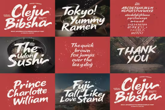 Cleju Bibsha - Bold Japanese Style Brush Display Font
