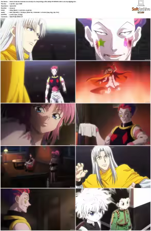 Hunter x Hunter 2011 S01-S06 1080p NF WEB-DL AAC2.0 H264-ZigZag