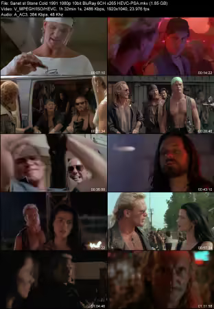 Stone Cold 1991 1080p 10bit BluRay 6CH x265 HEVC-PSA