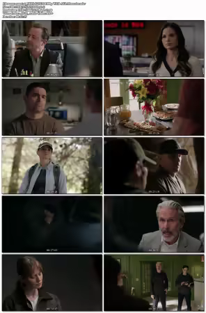 NCIS S23E16 1080p WEB AV1-Moonrise