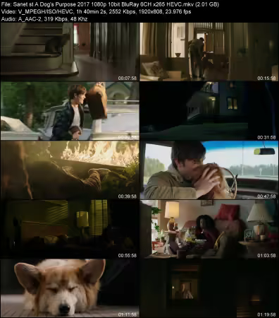 A Dogs Purpose 2017 1080p 10bit BluRay 6CH x265 HEVC-PSA