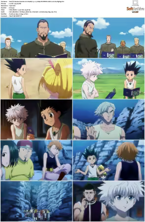 Hunter x Hunter 2011 S01-S06 1080p NF WEB-DL AAC2.0 H264-ZigZag