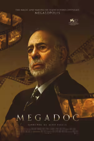 MegaDoc 2025 1080p WEBRip x265 10bit 5.1-LAMA