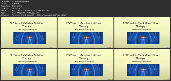 Medical Nutrition Therapy For Pcos