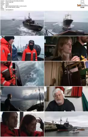 Whale Wars S01 S02 DVDRip XviD-WiDE