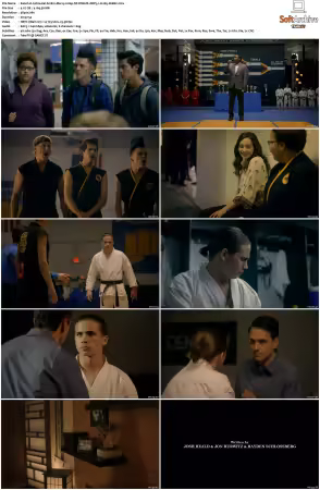 Cobra Kai S01 2160p NF WEB-DL DDP5.1 H265-XEBEC