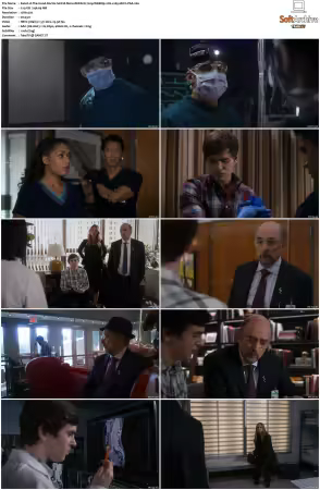 The Good Doctor S01 S07 720p WEBRip 2CH x265 HEVC-PSA