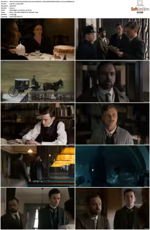 Vienna Blood S01 S04 1080p AMZN WEB-DL DDP 5.1 H264-CHDWEB