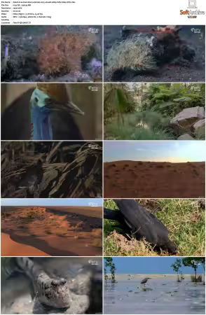 Extraordinary Animals 2025 S01 1080p HDTV H264-CBFM