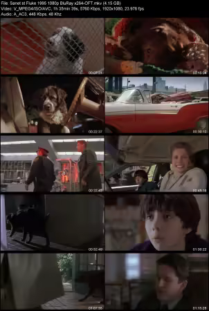 Fluke 1995 1080p BluRay x264-OFT