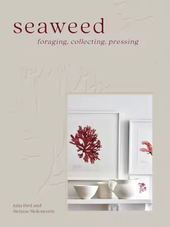 Seaweed: The sustainable guide to our oceans, with crafts, foraging, collecting and pressing