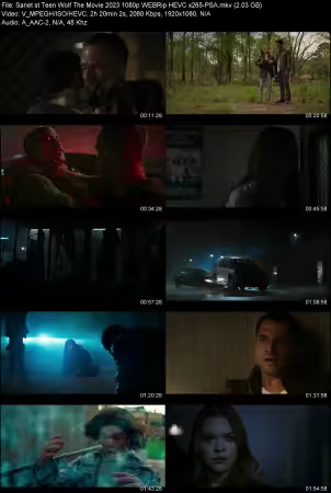 Teen Wolf The Movie 2023 1080p WEBRip HEVC x265-PSA