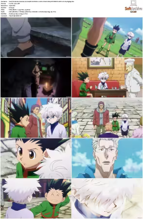 Hunter x Hunter 2011 S01-S06 1080p NF WEB-DL AAC2.0 H264-ZigZag