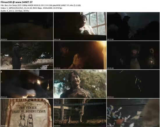 Bury Em Deep 2025 1080p AMZN WEB-DL DD 2.0 H264-playWEB