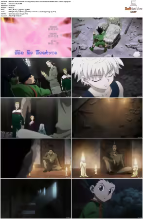 Hunter x Hunter 2011 S01-S06 1080p NF WEB-DL AAC2.0 H264-ZigZag