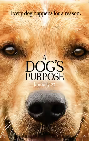 A Dogs Purpose 2017 1080p 10bit BluRay 6CH x265 HEVC-PSA