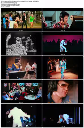 EPiC - Elvis Presley in Concert (2025) 1080p h264 EAC3 MVGroup