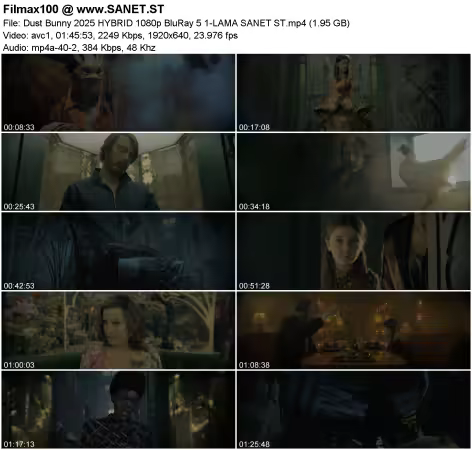 Dust Bunny 2025 HYBRID 1080p BluRay 5.1-LAMA