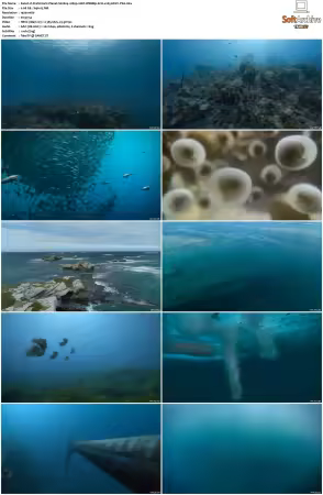 Prehistoric Planet S02 1080p 10bit WEBRip 6CH x265 HEVC-PSA