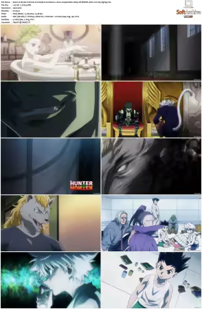 Hunter x Hunter 2011 S01-S06 1080p NF WEB-DL AAC2.0 H264-ZigZag