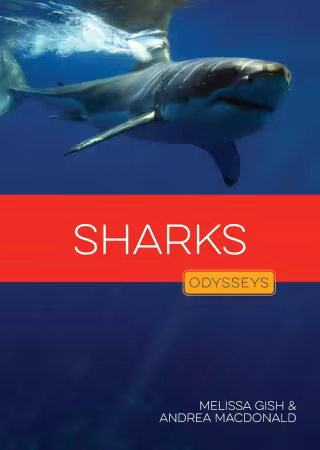 Sharks (Odysseys in the Wild)