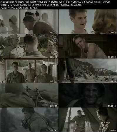 Hacksaw Ridge 2016 1080p DS4K BluRay x265 10-bit HDR AAC 7.1 WeSLeY