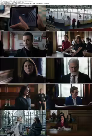 Law And Order S25E18 1080p WEB h264-GRACE