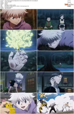 Hunter x Hunter 2011 S01-S06 1080p NF WEB-DL AAC2.0 H264-ZigZag