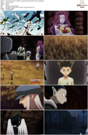 Hunter x Hunter 2011 S01-S06 1080p NF WEB-DL AAC2.0 H264-ZigZag