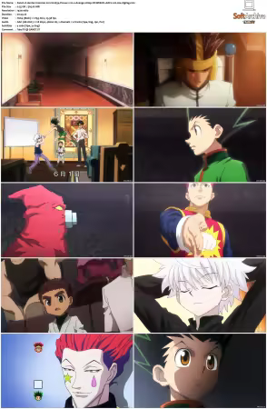 Hunter x Hunter 2011 S01-S06 1080p NF WEB-DL AAC2.0 H264-ZigZag