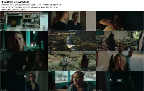 Redux Redux 2025 2160p WEB-DL DDP5.1 H265-NGP