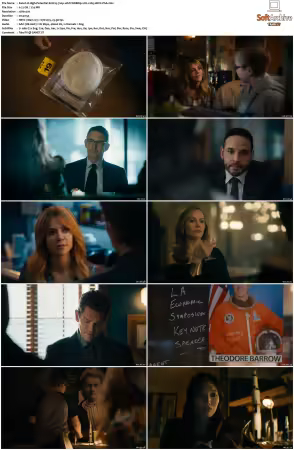 High Potential S02 RERIP 720p 10bit WEBRip 2CH x265 HEVC-PSA