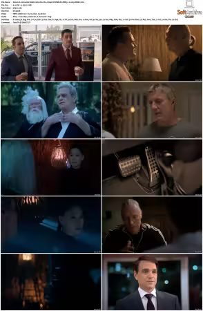 Cobra Kai S06 2160p NF WEB-DL DDP5.1 H265-XEBEC