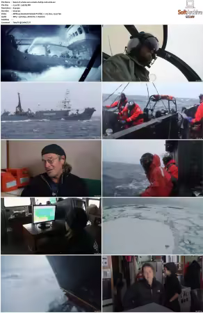 Whale Wars S01 S02 DVDRip XviD-WiDE