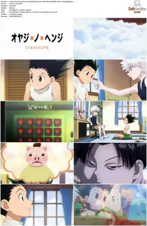Hunter x Hunter 2011 S01-S06 1080p NF WEB-DL AAC2.0 H264-ZigZag