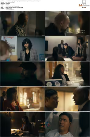 Watson 2025 S01 2160p AMZN WEB-DL H265 SDR DDP 5 1 English - HONE