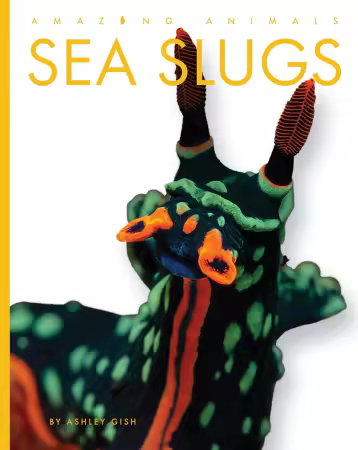Sea Slugs (Amazing Animals)