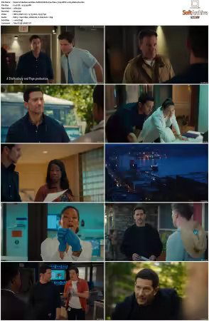 Hudson and Rex S08 720p HEVC x265-MeGusta
