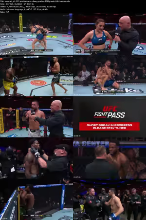 UFC 327 Prochazka vs Ulberg Prelims 1080p WEB h264-VERUM