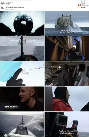 Whale Wars S03 1080p WEB-DL AAC2.0 AVC-TrollHD